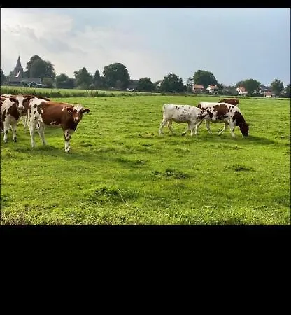 Luxus Hafenblick Semesterbostad