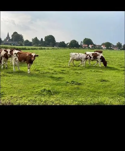 Luxus Hafenblick Vakantiehuis